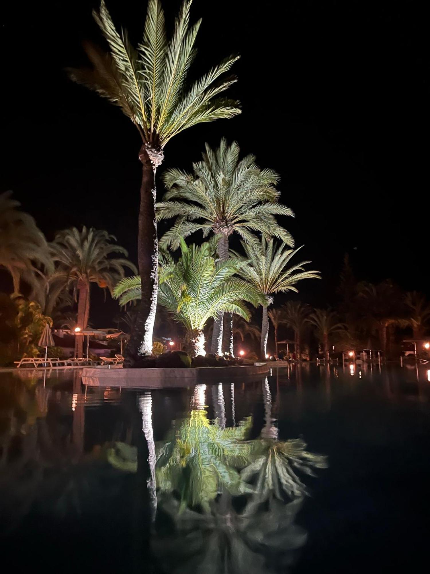 Sun Club Luxus Bungalow Projecto 65 มาสปาโลมาส ภายนอก รูปภาพ